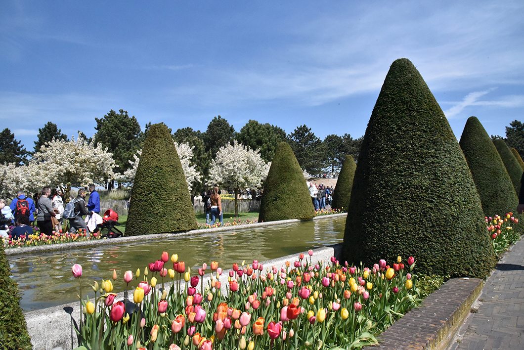 Que faire à Amsterdam ? Visite du parc aux tulipes de Keukenhof