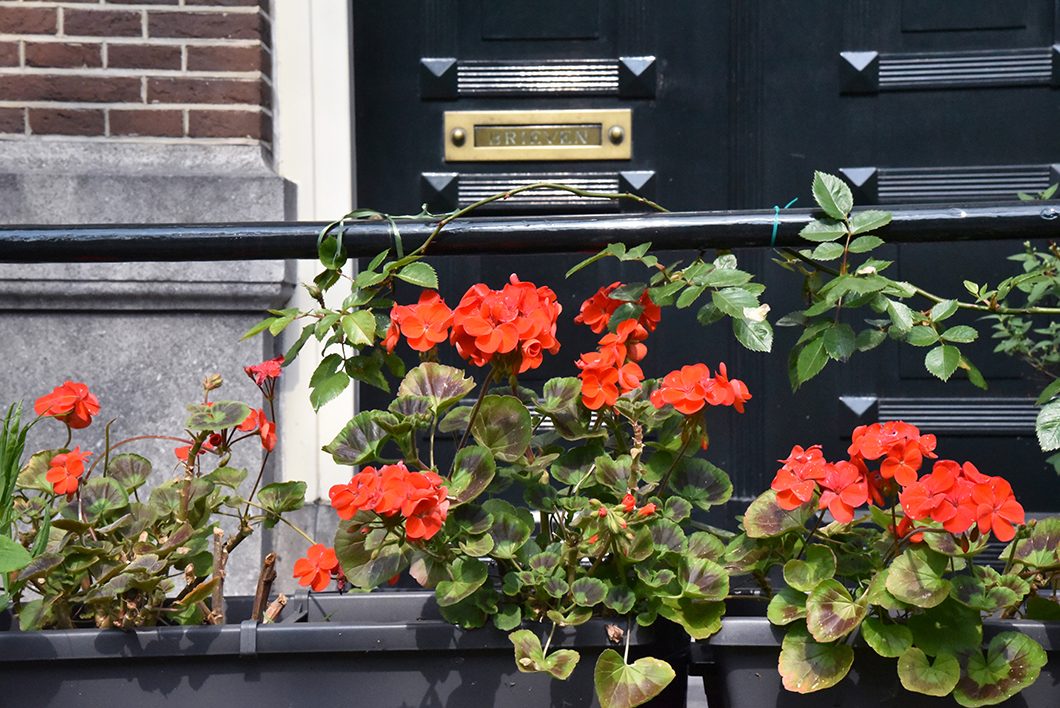 Découverte des Nine Streets à Amsterdam