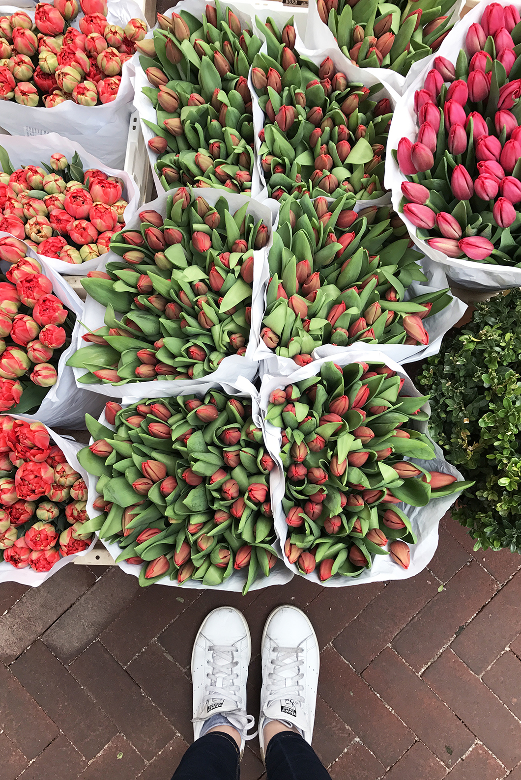 Le marché aux fleurs de Amsterdam