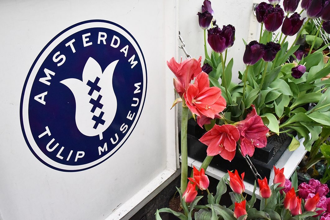 Musée de la tulipe à Amsterdam