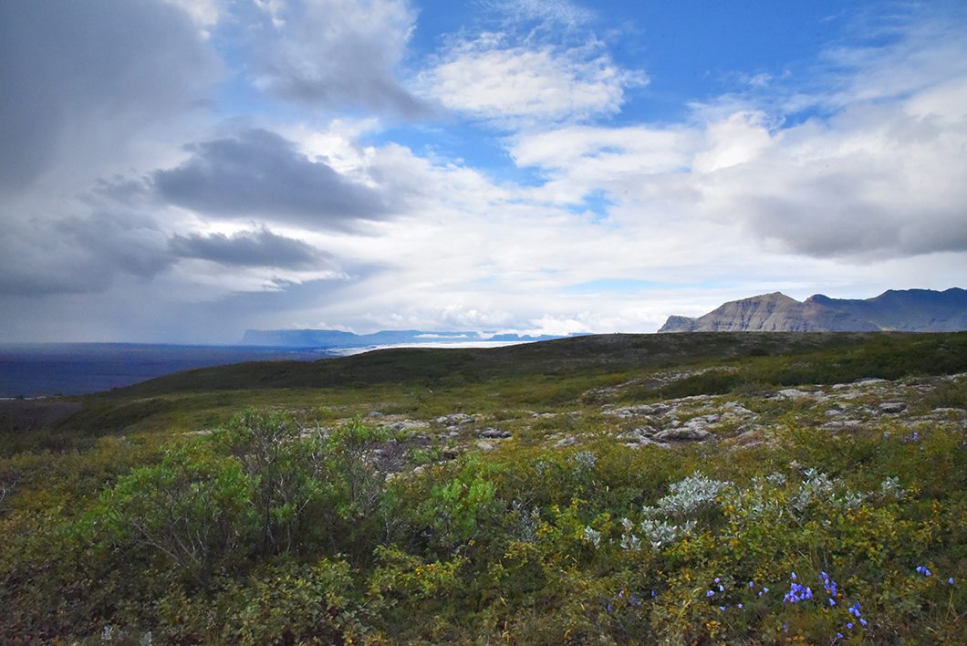 Parc national de Skaftafell - randonnées à faire en Islande