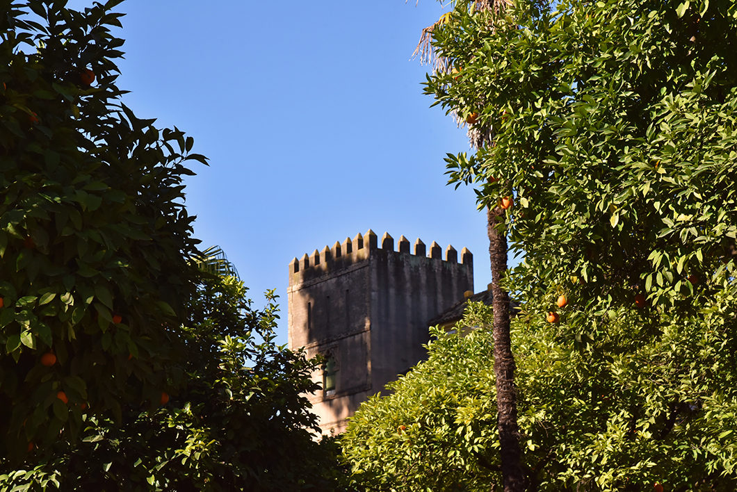 2 jours à Séville, découvrir le Jardin Murillo