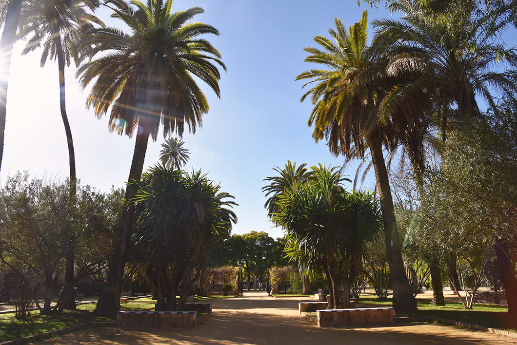 Guide des plus beaux endroits à Séville en Espagne, le Jardin Murillo
