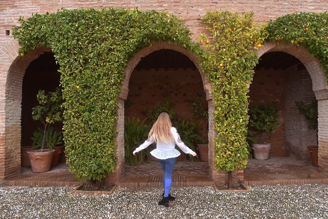 1 journée à l'Alhambra en Espagne