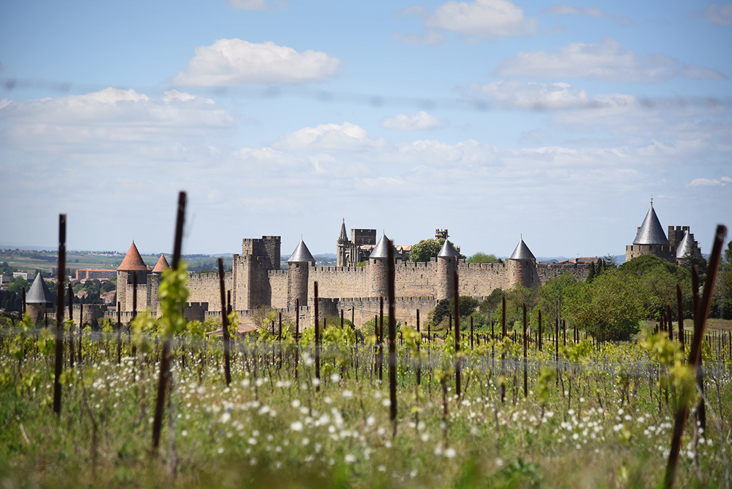 Que faire à Carcassonne ?
