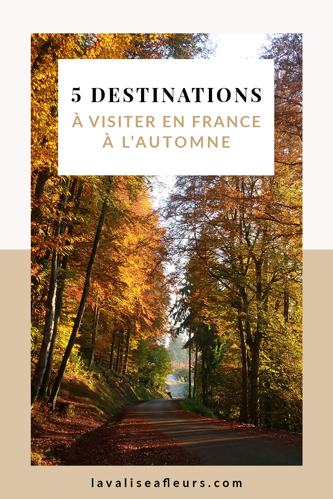 Guide de France, 5 destinations à visiter en automne