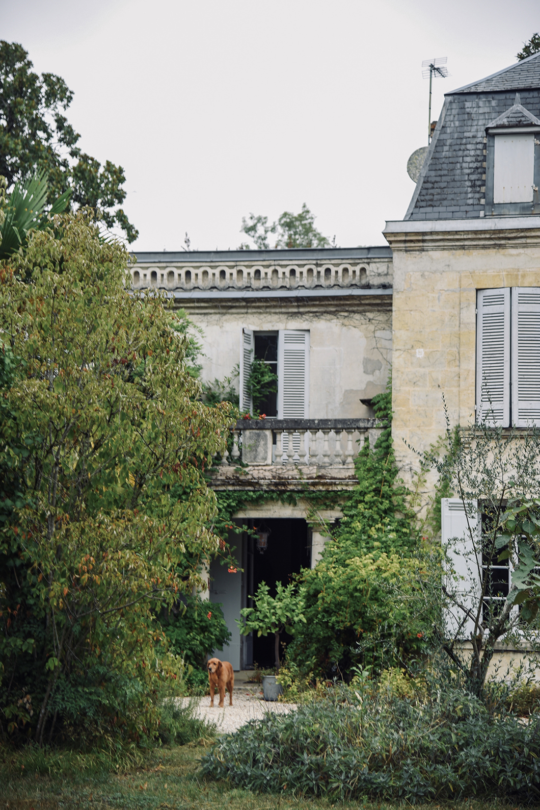 Château Bardins - Cadaujac - Route des Vins de Bordeaux en Graves et Sauternes
