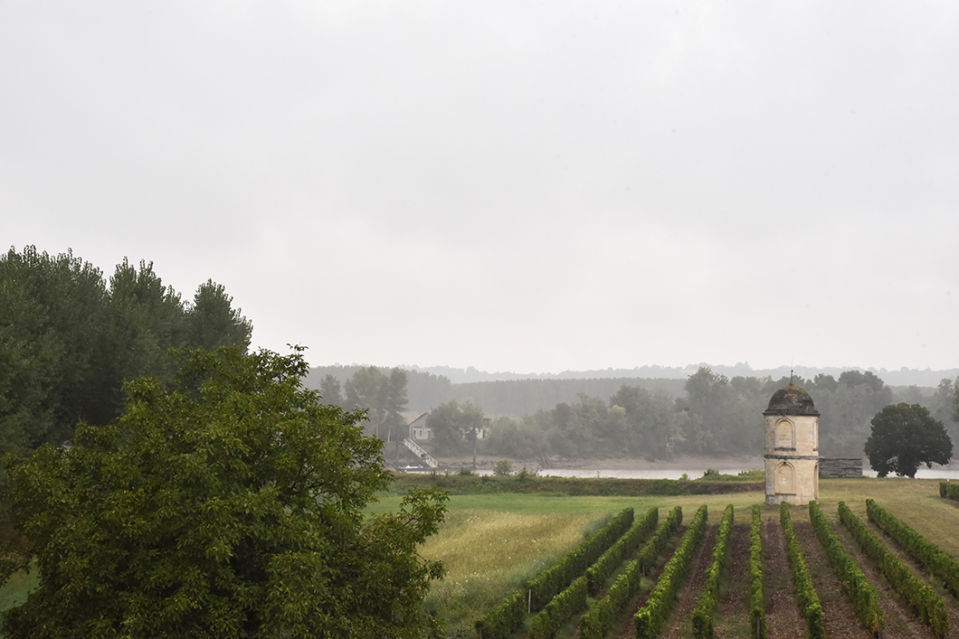 Château de Portets - Portets - Route des Vins de Bordeaux en Graves et Sauternes