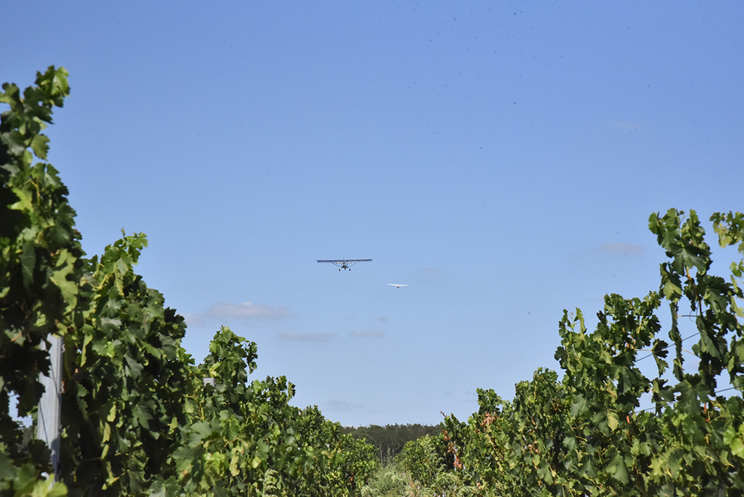 Survol du vignoble en ULM au Château Vénus - Activité insolite sur la Route des Vins de Bordeaux