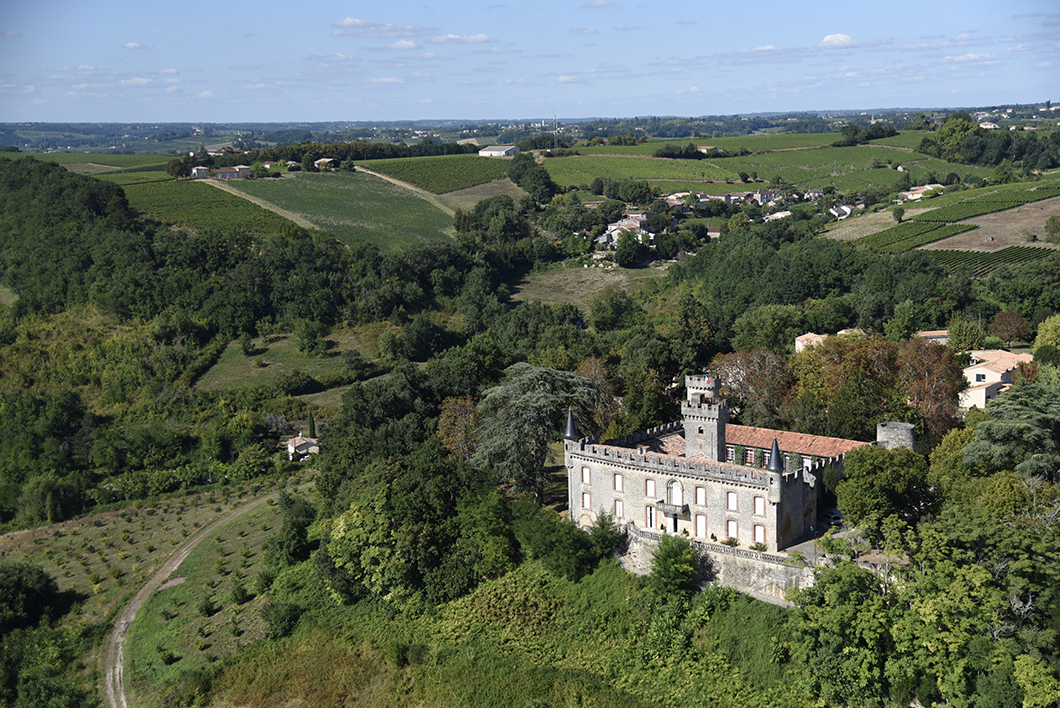 Survol des châteaux bordelais en ULM au Château Vénus - Activité insolite sur la Route des Vins de Bordeaux en Graves et Sauternes