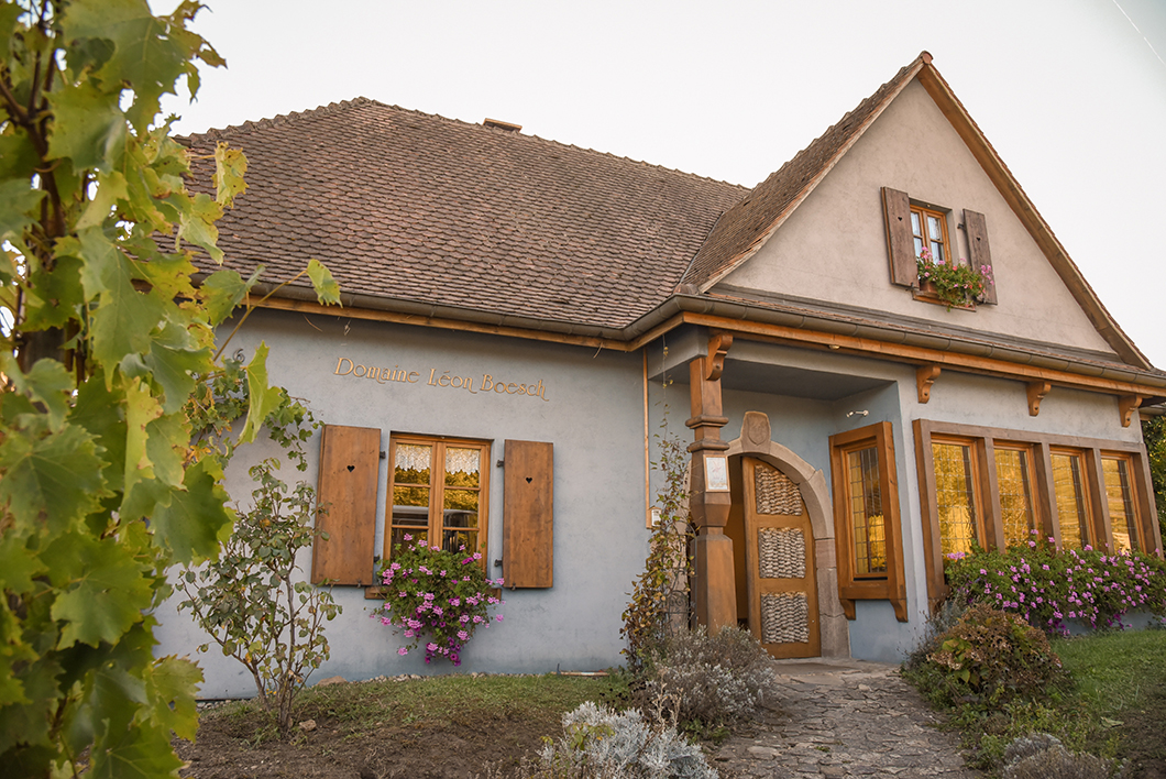Domaine Léon Boesch - route des vins d'Alsace