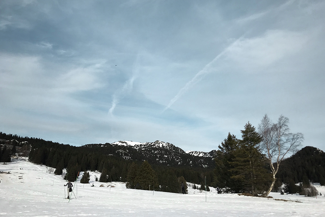 Balade en chien de traineau - Activité insolite dans les Alpes