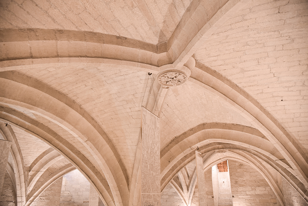 Que visiter à Avignon ? Palais des Papes