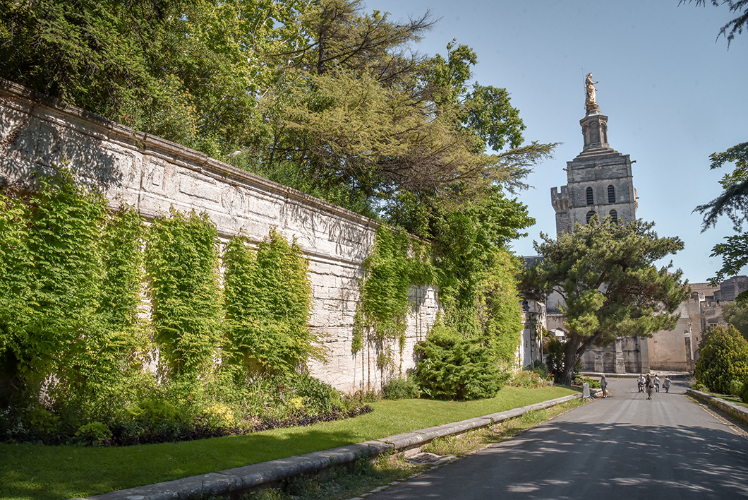Le jardin du Rocher des Doms - Visites incontournables à Avignon