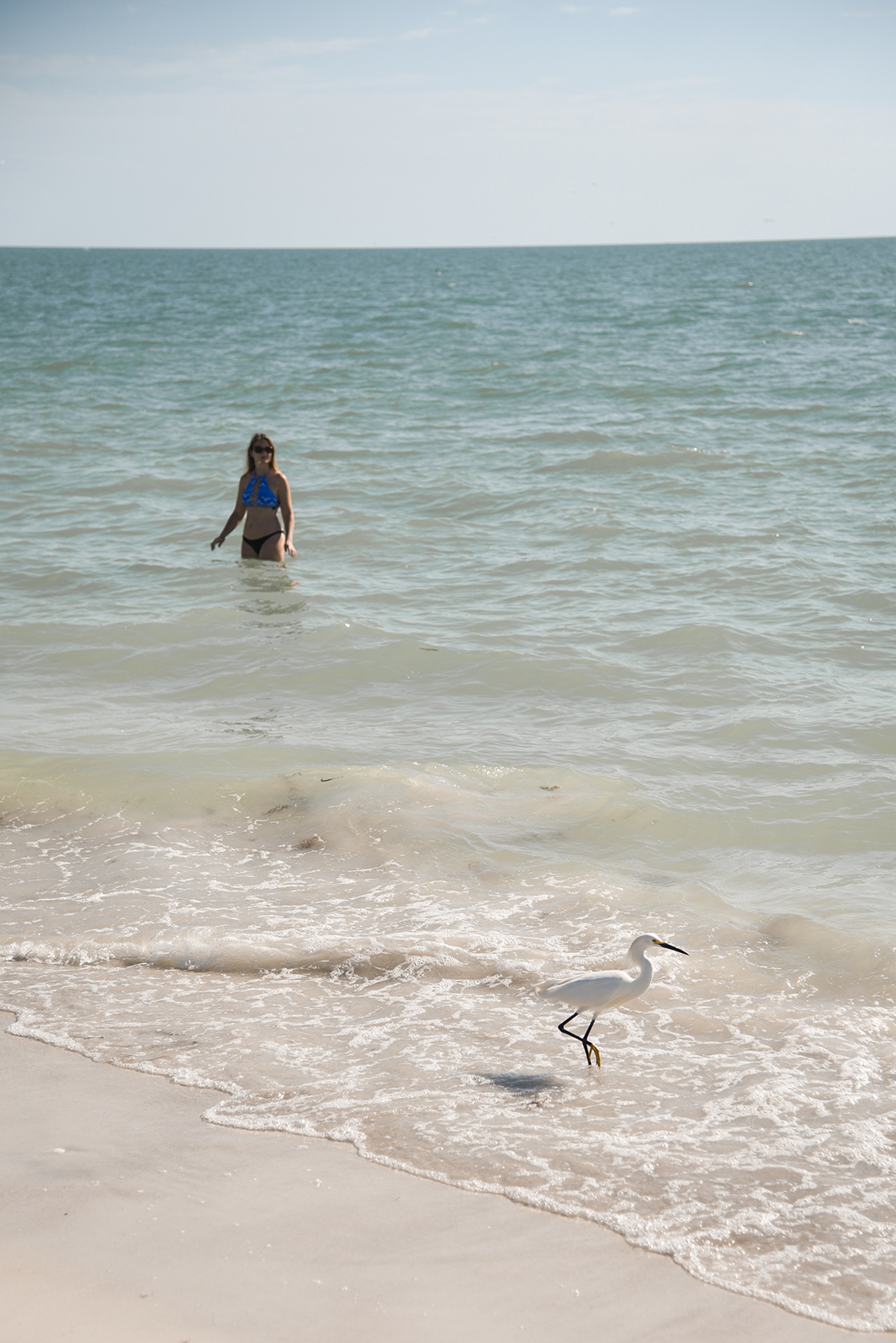 Barefoot Beach Preserve, les plus belles plages en Floride