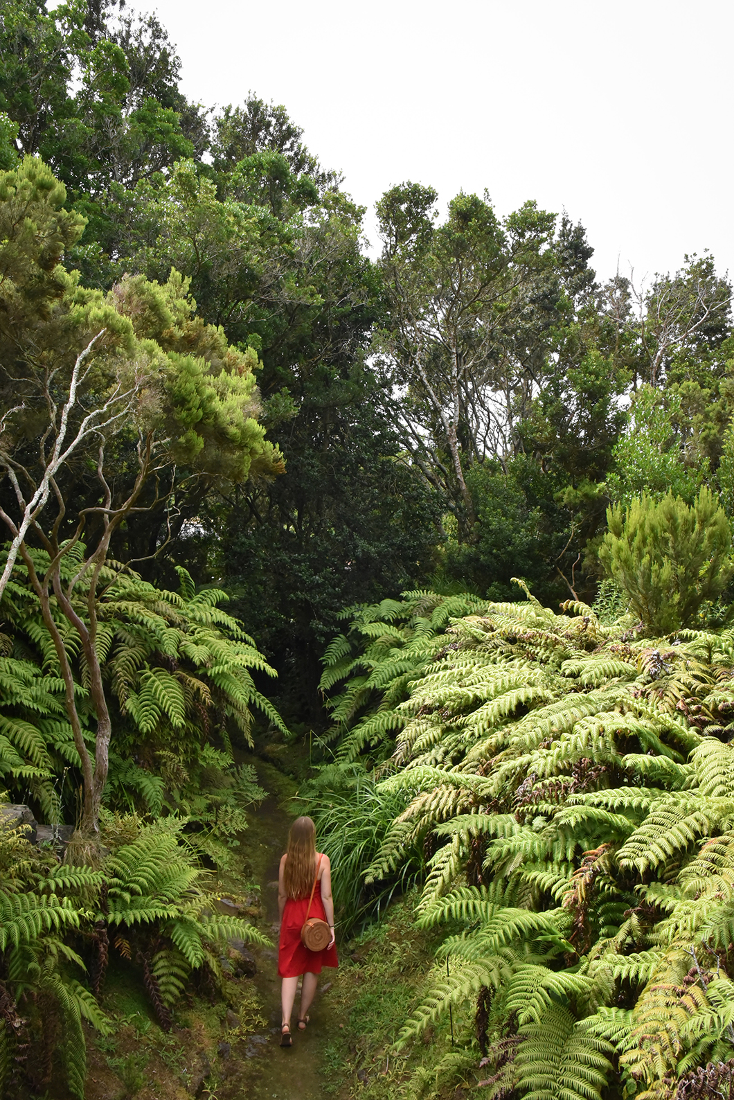 Point de vue sympa au jardin botanique de Faial dans les Açores