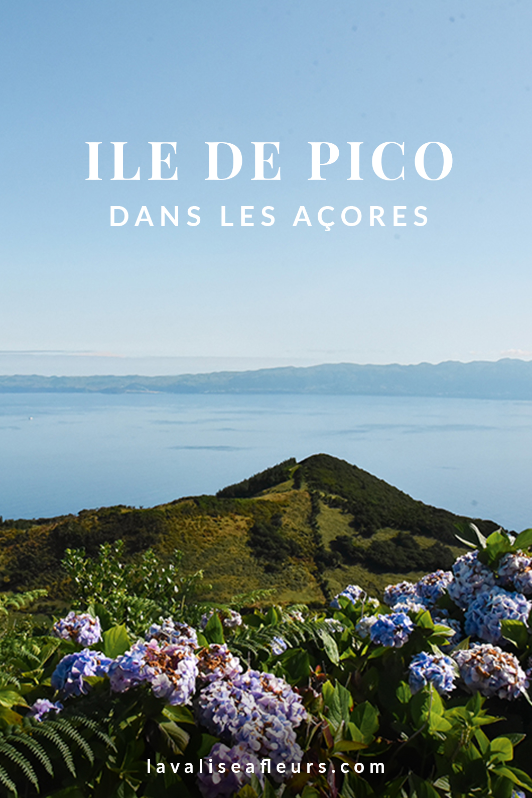 Ile de Pico dans les Açores