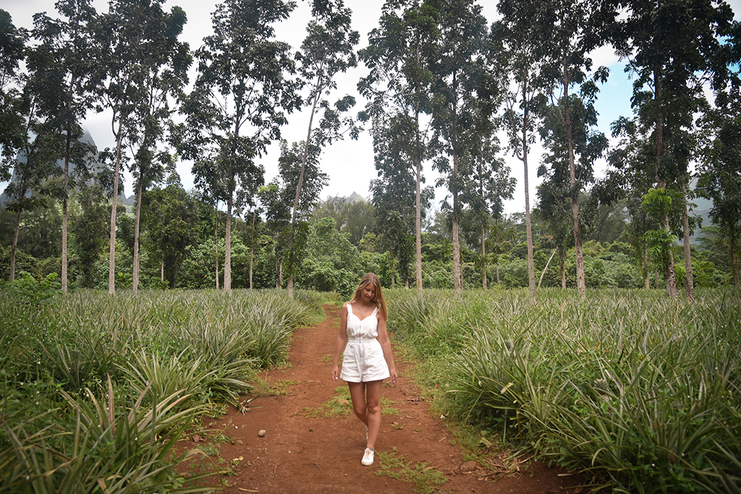 Voir les champs d’ananas à Moorea en Polynésie Française