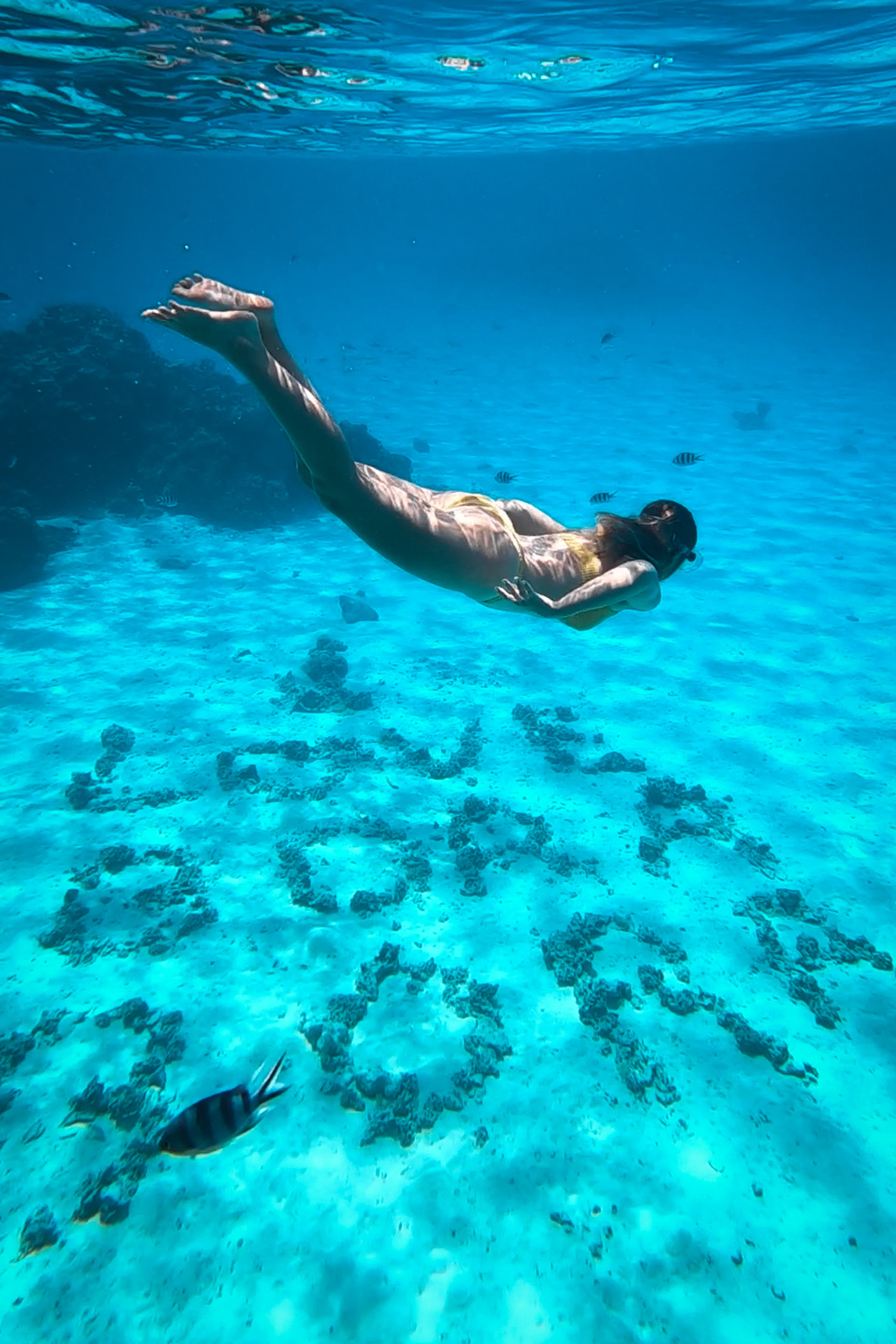 Que faire à Bora Bora ? Faire du Snorkeling