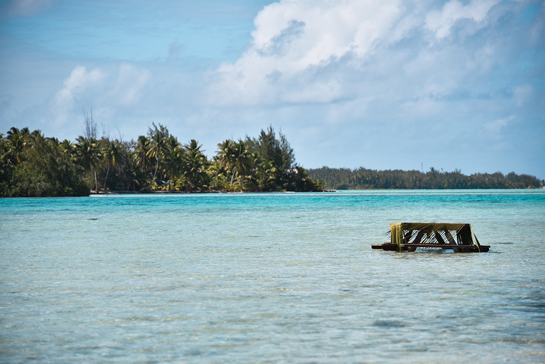 Déjeuner les pieds dans l'eau à Bora Bora