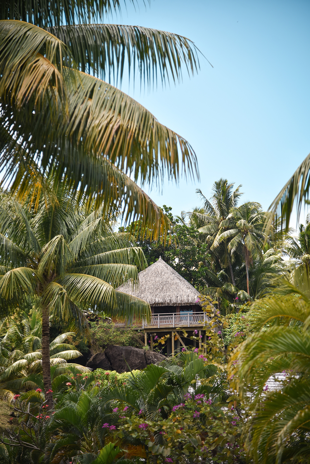 Les plus jolis hébergements de Bora Bora,
