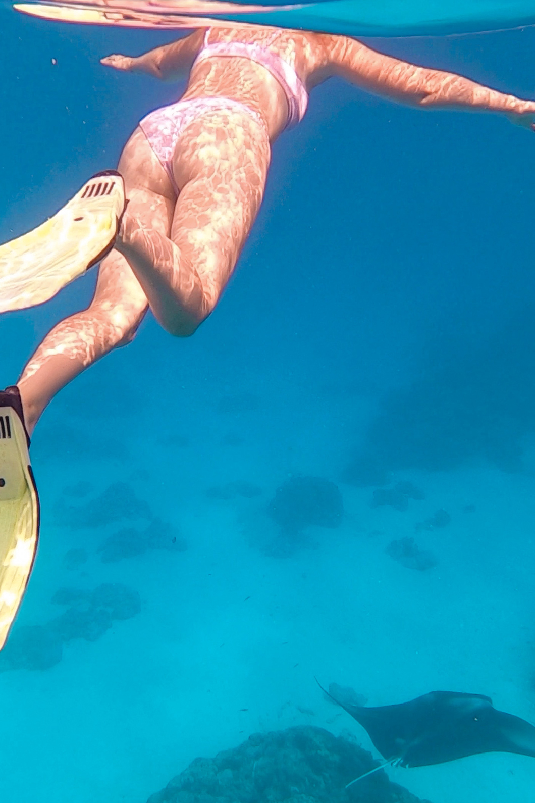 Snorkeling avec les raies manta de Maupiti