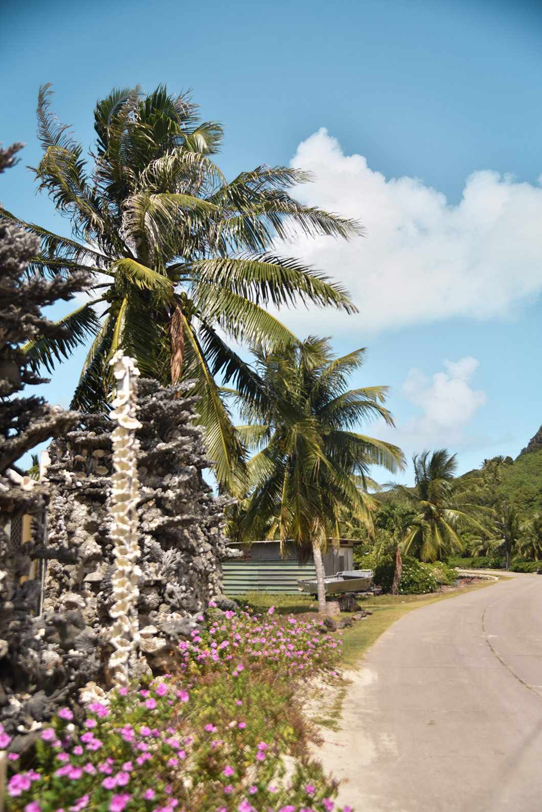 Que faire à Bora Bora ? Visite de l’île principale à vélo