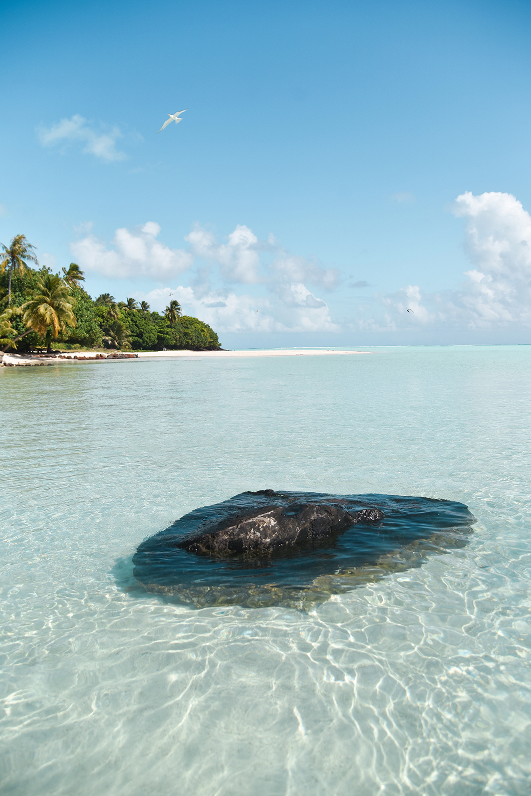 Quelles îles visiter en Polynésie Française ? Découvrir Maupiti