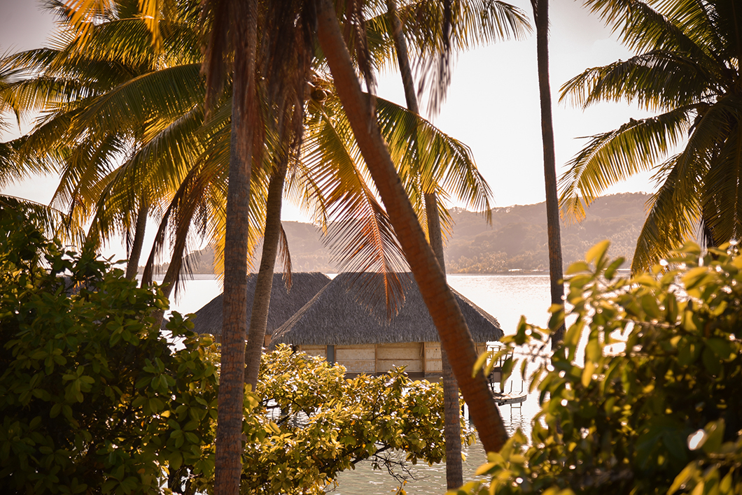 Vue depuis la terrasse du petit déjeuner au Taha'a Island Resort and Spa