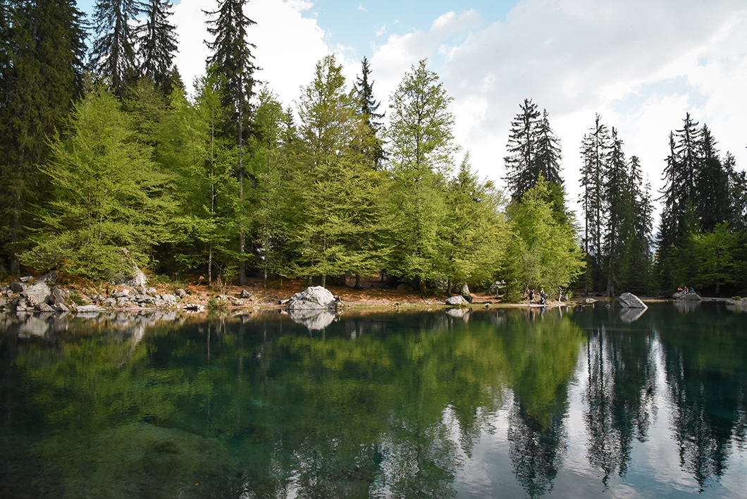 Aller au Lac Vert, incontournable à Chamonix