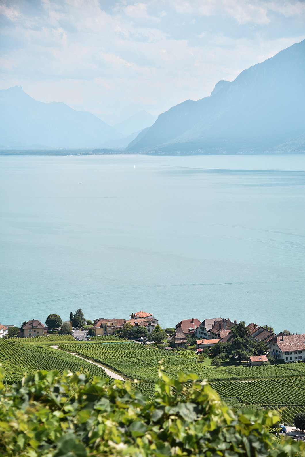 Lauxaux, nos spots préférés au Lac Léman en Suisse