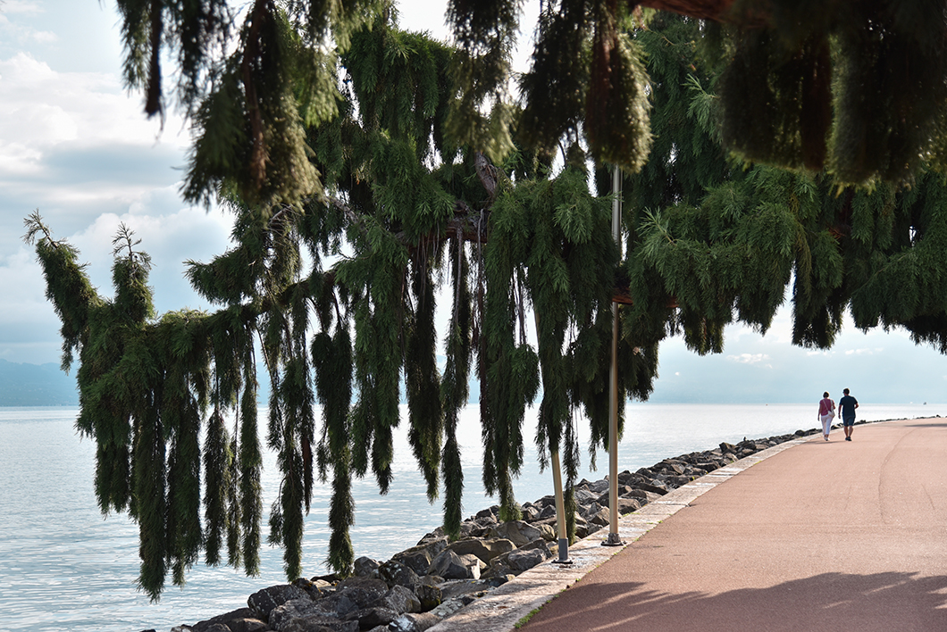 Découvrir les quais d’Evian-les-Bains, Incontournables à visiter au Lac Léman
