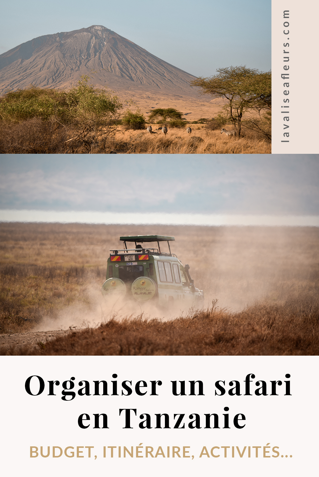 Organiser un safari en Tanzanie - budget, itinéraire et programme