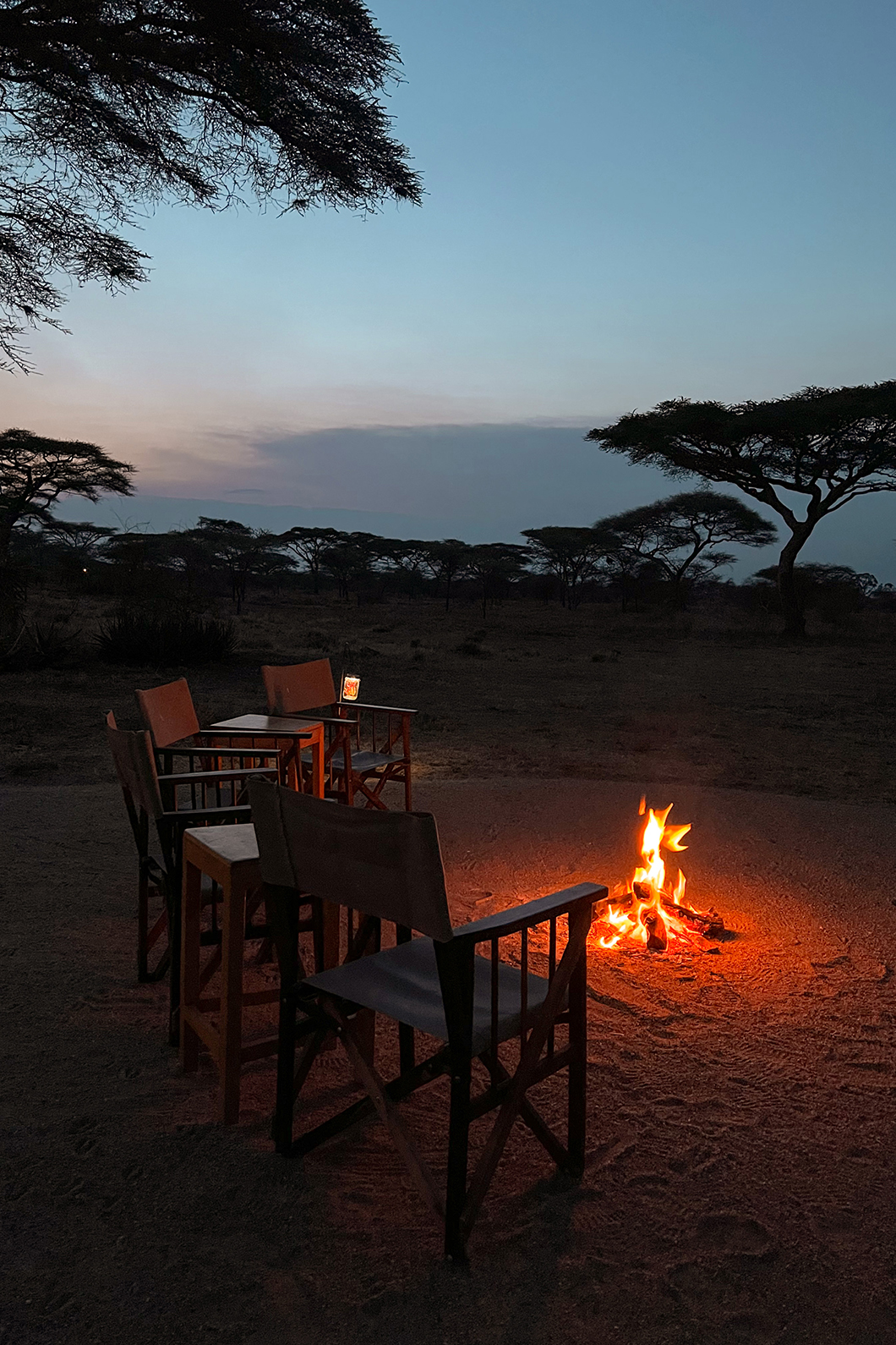 itinéraire et budget d'un safari en Tanzanie