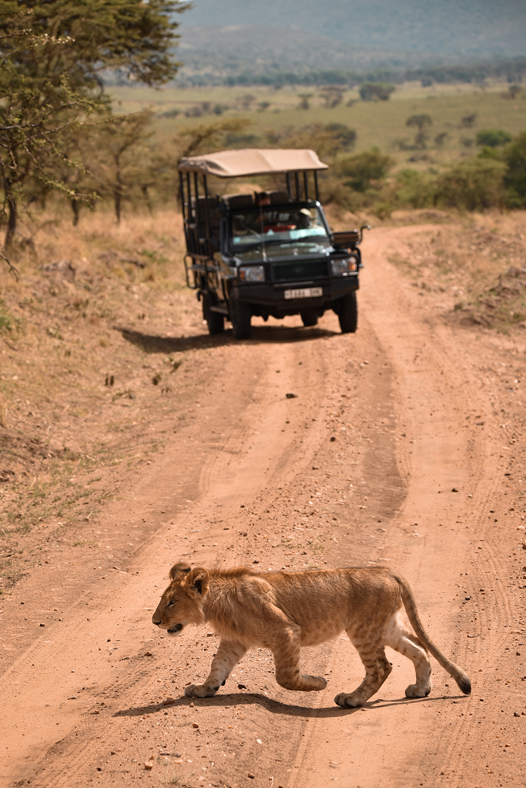 Roadtrip en Tanzanie