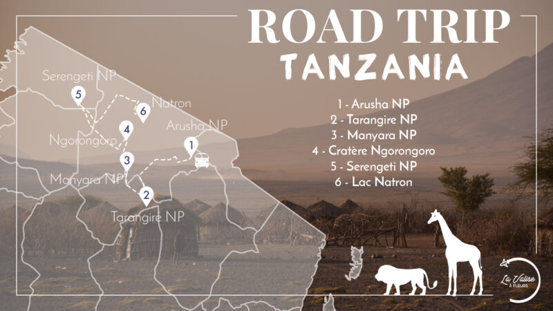 itinéraire safari 10 jours en Tanzanie