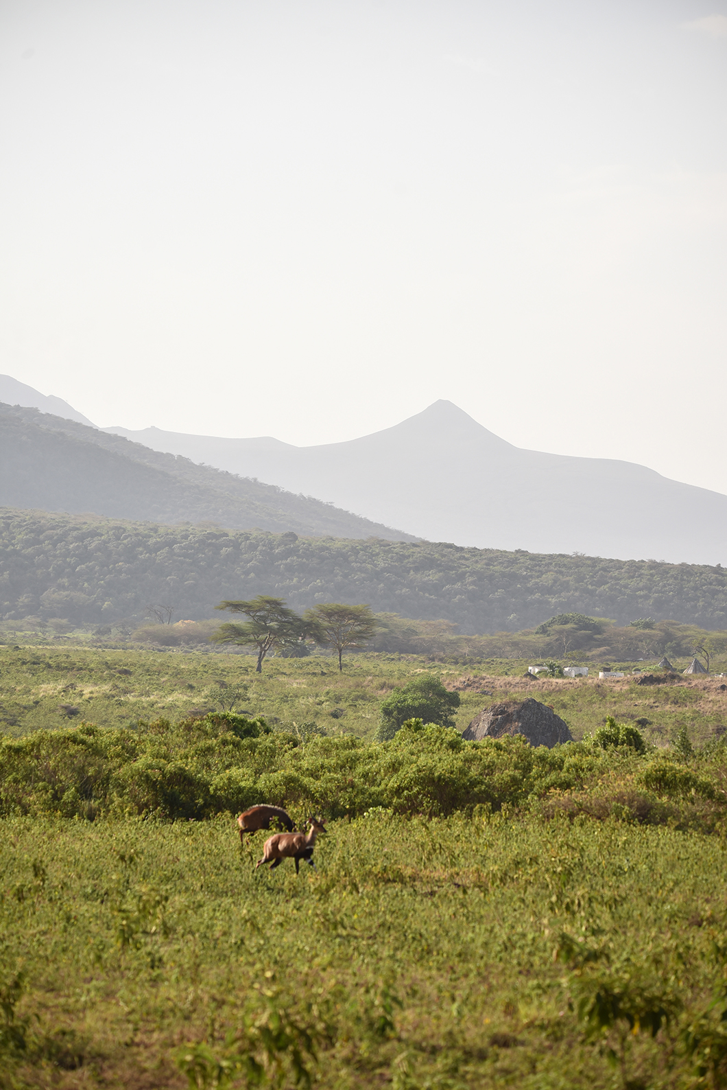 Observer le Mont Meru en Tanzanie