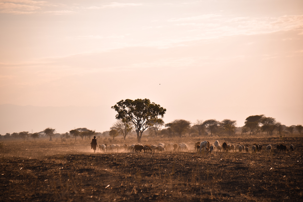 Scène de vie en Tanzanie, près du parc national de Tarangire