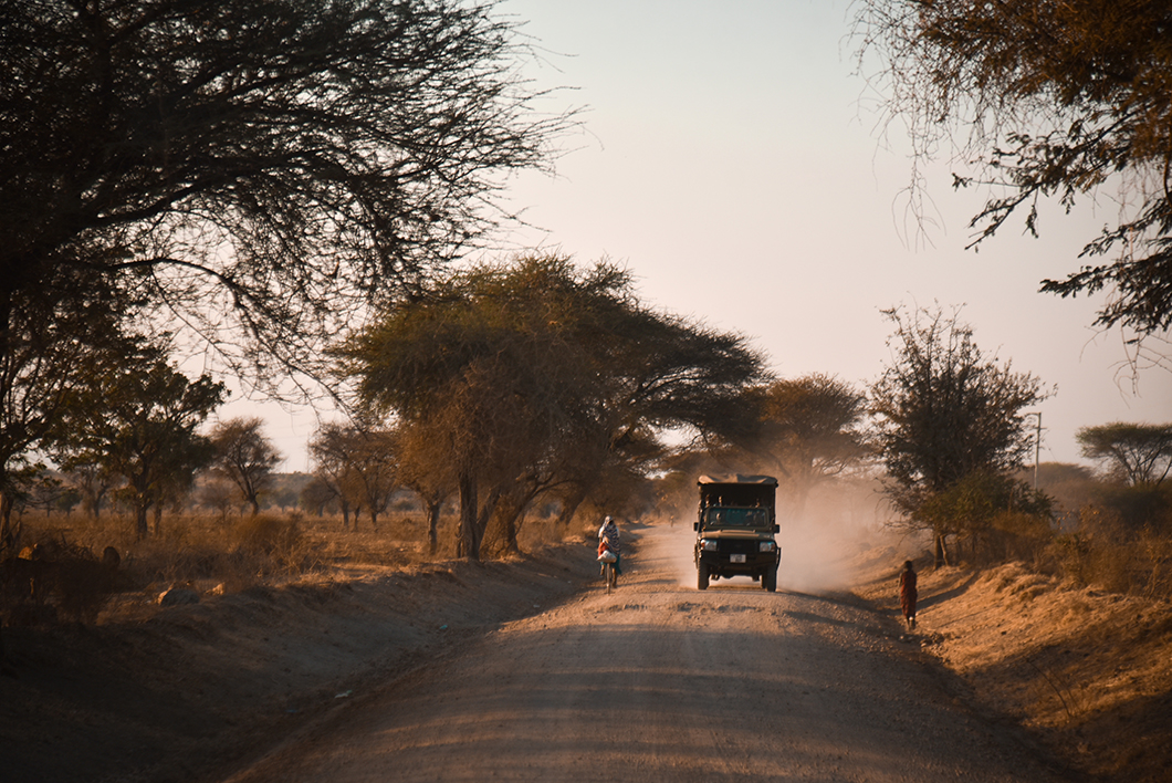 Guide pour faire un road trip en Tanzanie ? Aller à Tarangire