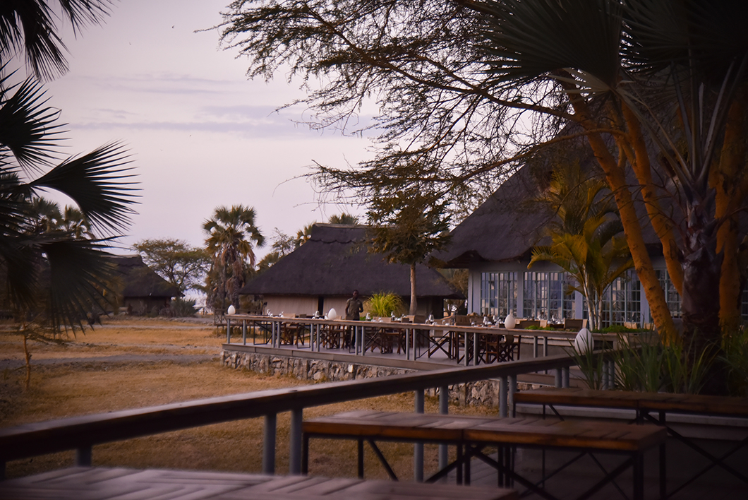 Nos logements préférés en Tanzanie - Maramboi Tented Lodge
