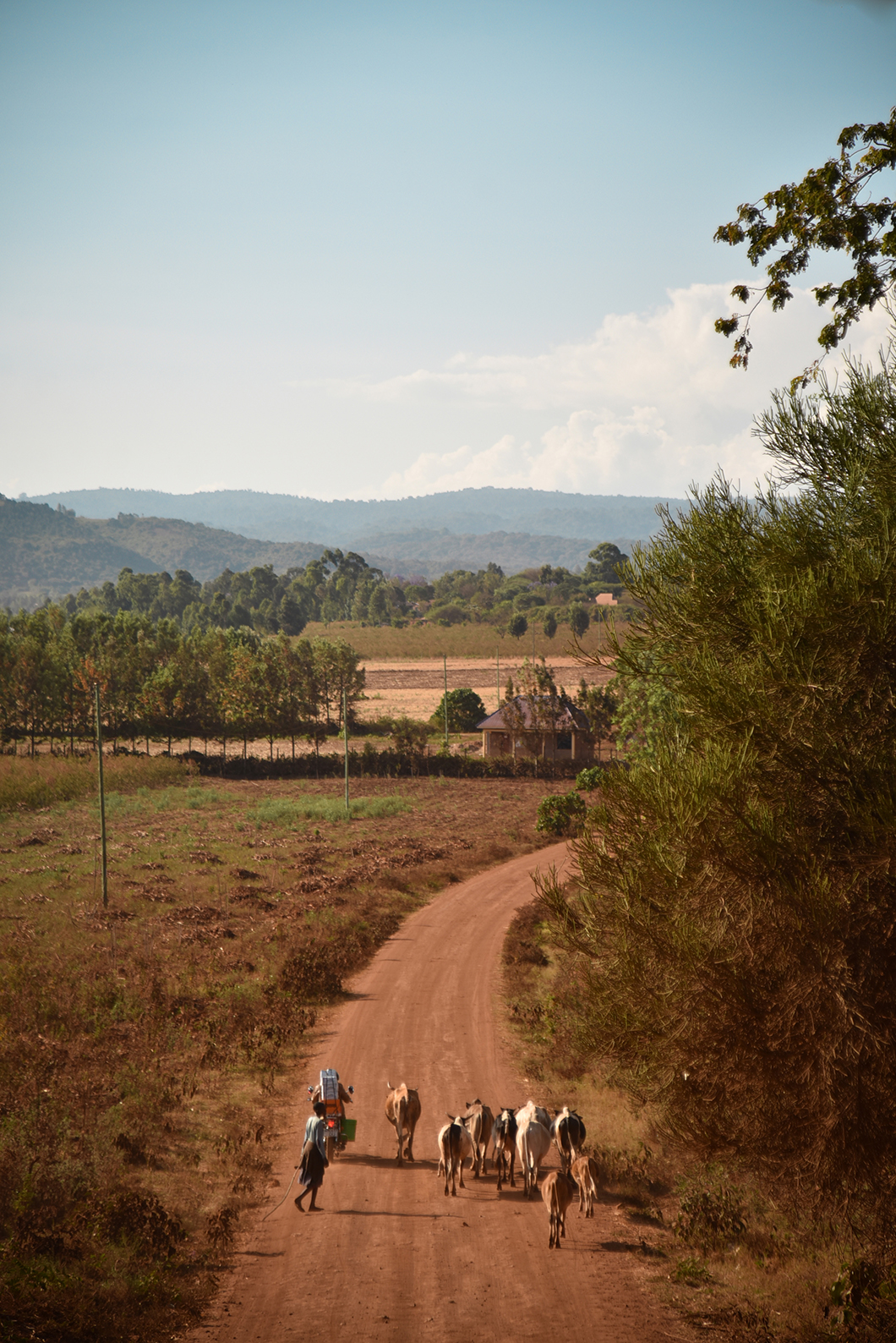Roadtrip en Tanzanie à la découverte de ses paysages