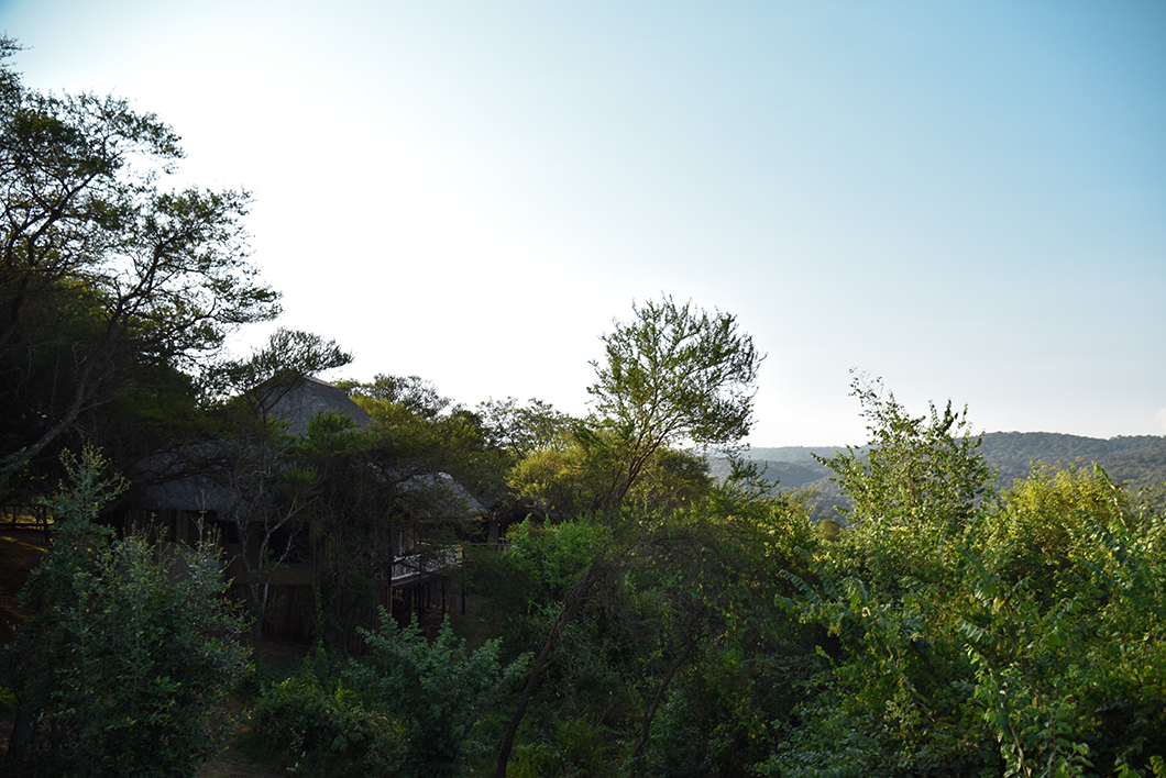 Où loger durant un safari en Tanzanie ? le Ngorongoro Forest Tented Lodge