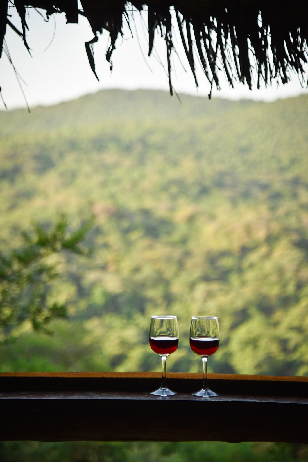 Admirer la vue sur la jungle depuis le Ngorongoro Forest Tented Lodge