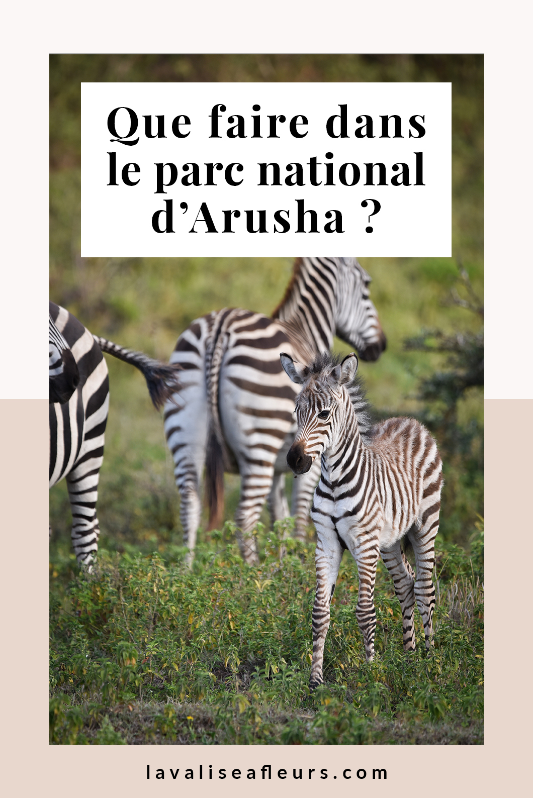 Que faire dans le parc national d’Arusha en Tanzanie ?