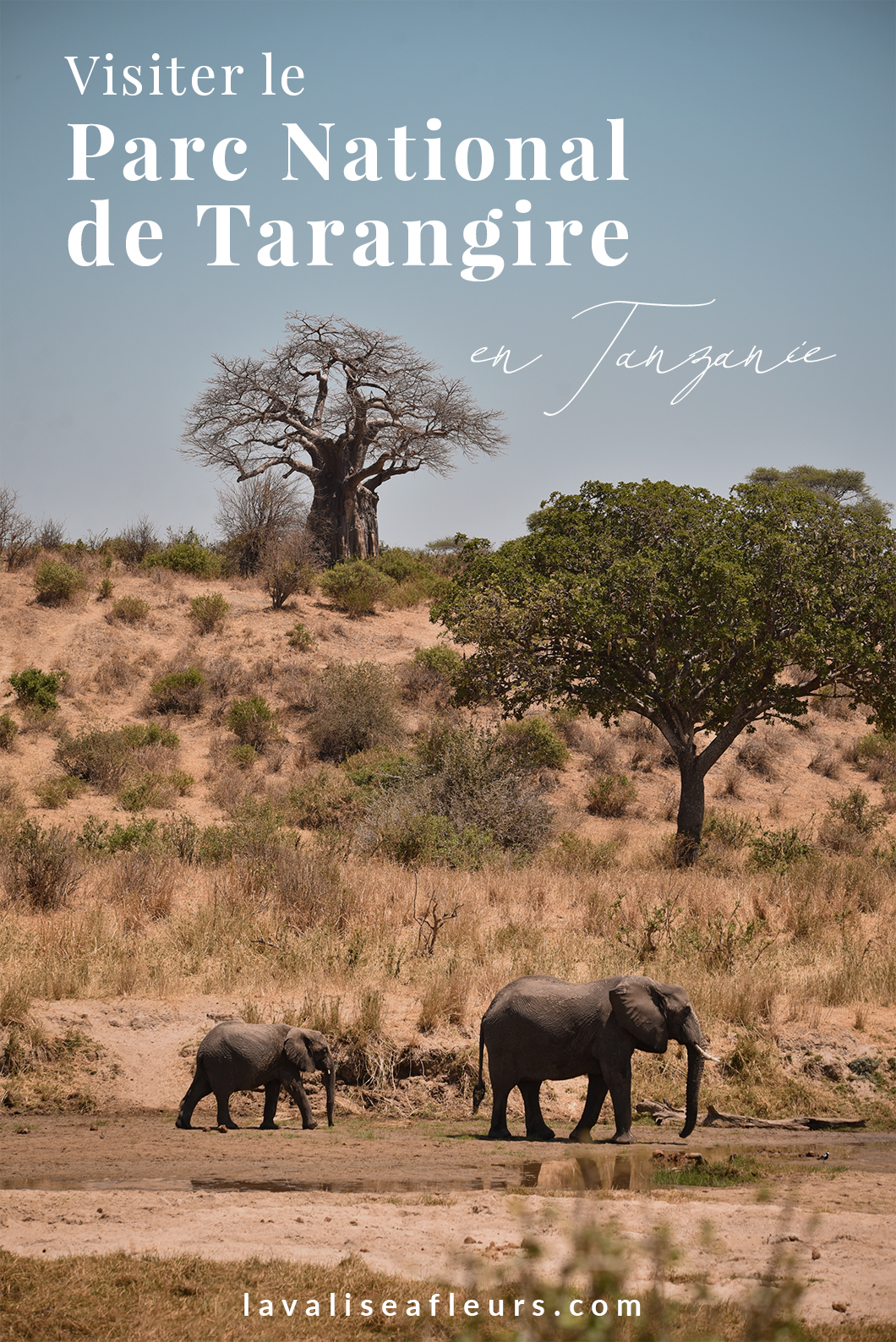 Visiter Tarangire en Tanzanie
