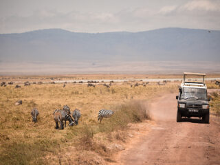 Visiter le cratère du Ngorongoro en Tanzanie