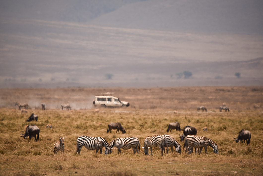 Visiter le Cratère du Ngorongoro en Tanzanie