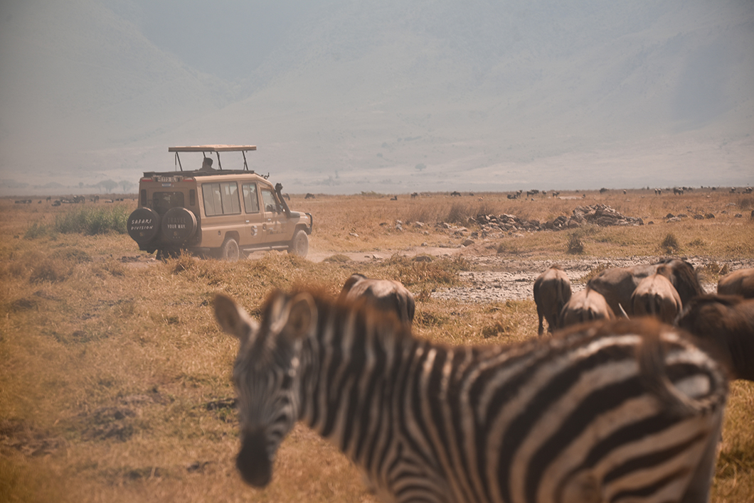 Les plus beaux endroits de Tanzanie - Cratère du Ngorongoro