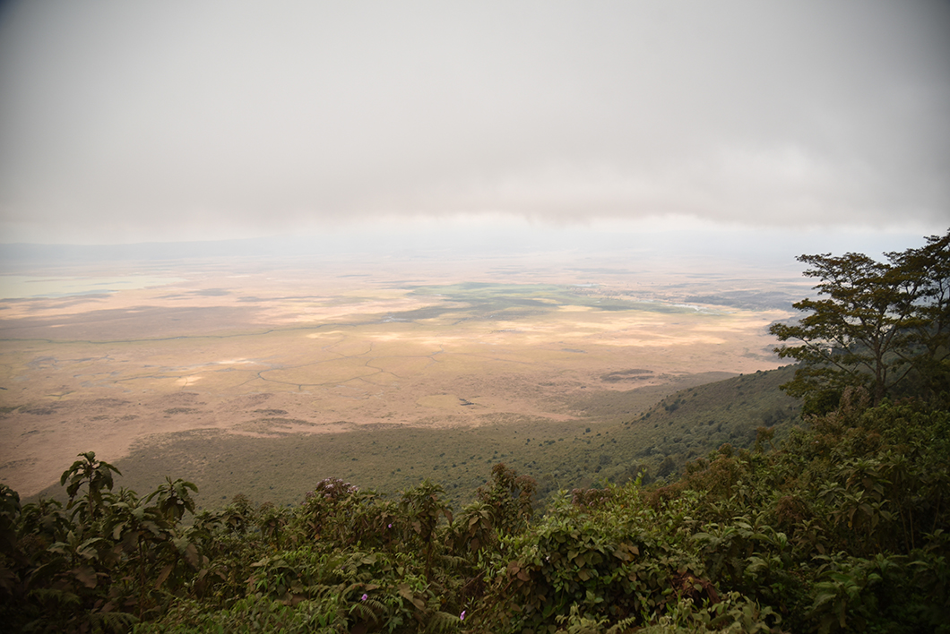 Point de vue sur le Cratère du Ngorongoro