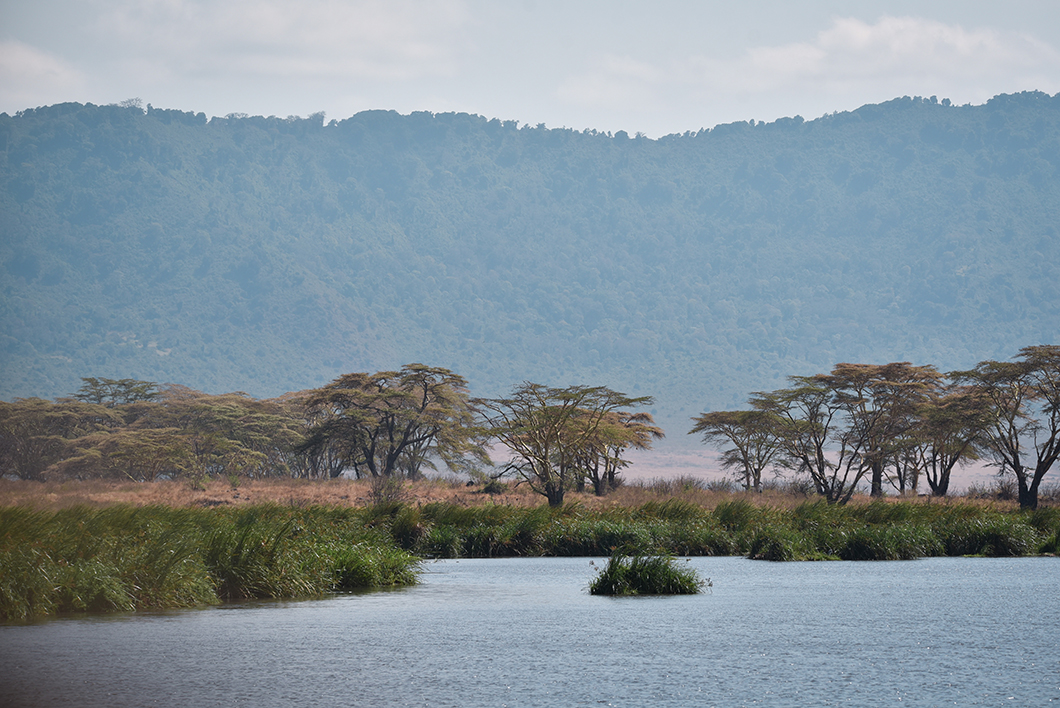 Tanzanie guide - Le Cratère du Ngorongoro